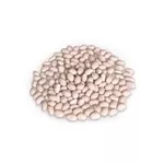 Закупка квасолі на переробку та консервування