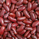 Продаж сортової квасолі гуртовими партіями