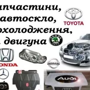 Датчики,  модулі ABS AIRBAG-ESP,  підшипники