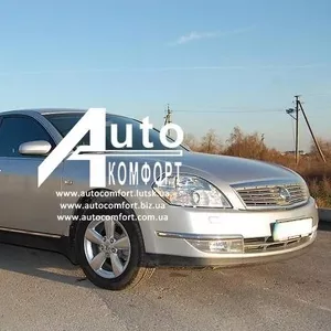 Лобовое стекло на Nissan Teana J31 (Седан) (2003-2008),  Samsung ...