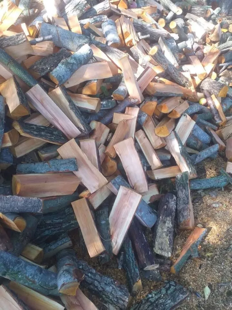 Дрова Горохів - швидка доставка по Волині