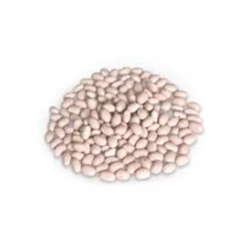 Закупка квасолі на переробку та консервування